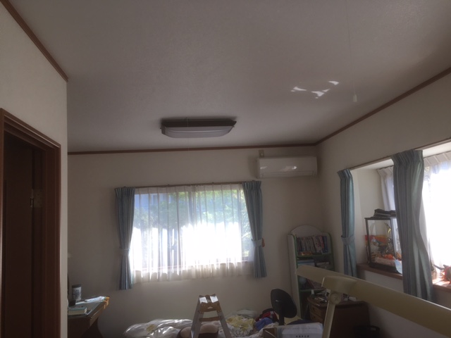 画像の説明
